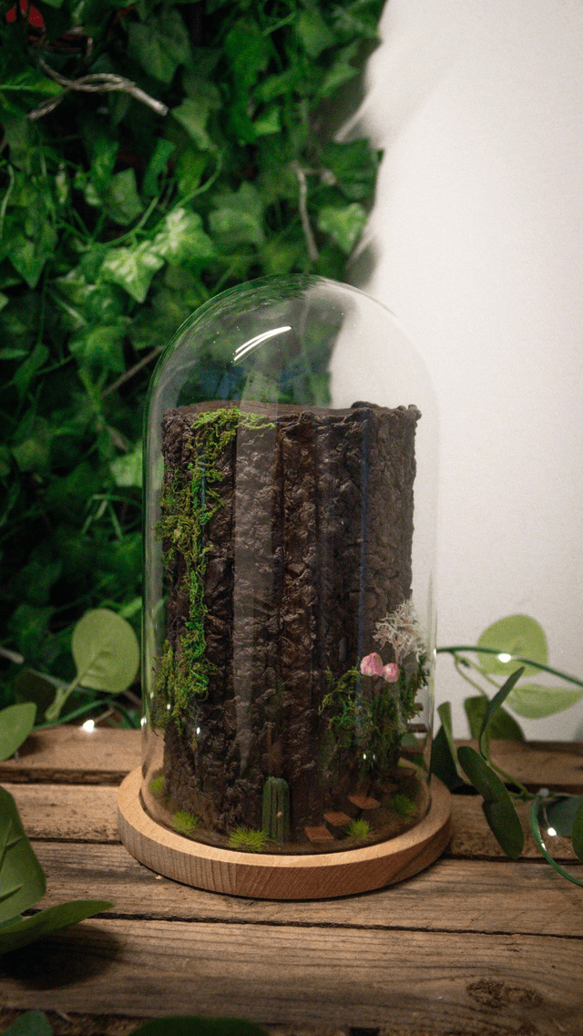 Diorama "Maison des fées des bois"