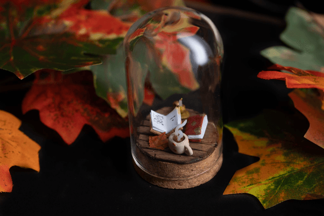 Collection Automne 2025 - Lecture cosy  [sur commande] 