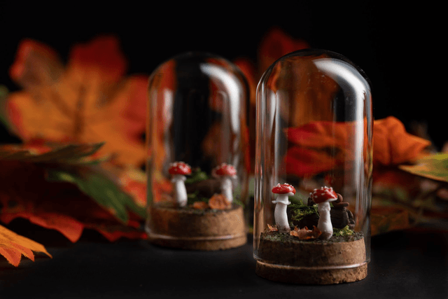 Collection Automne 2025 - sous bois [sur commande] 