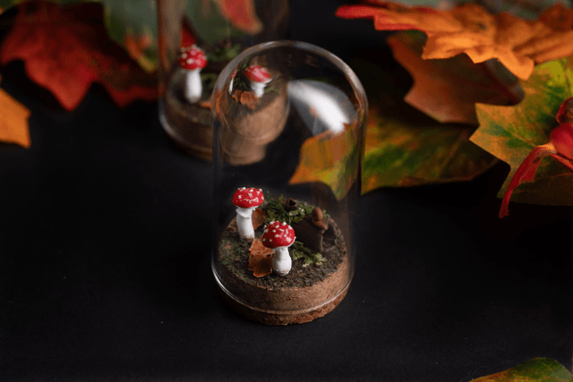 Collection Automne 2025 - sous bois [sur commande] 
