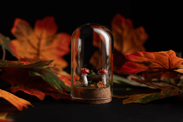 Collection Automne 2025 - sous bois [sur commande] 