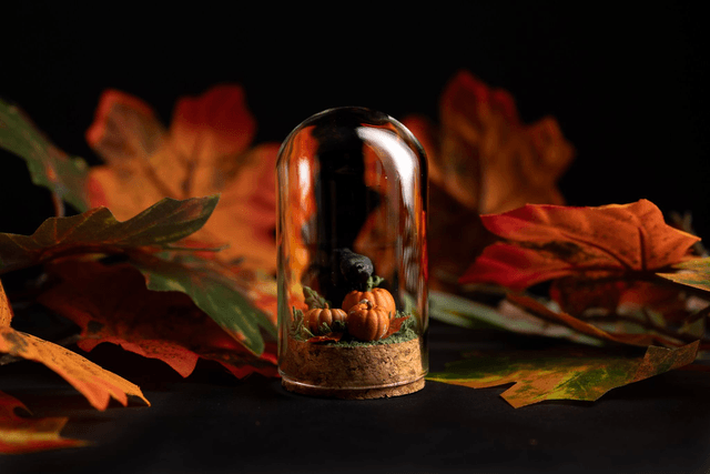 Collection Automne 2025 - Citrouilles et corbeau 