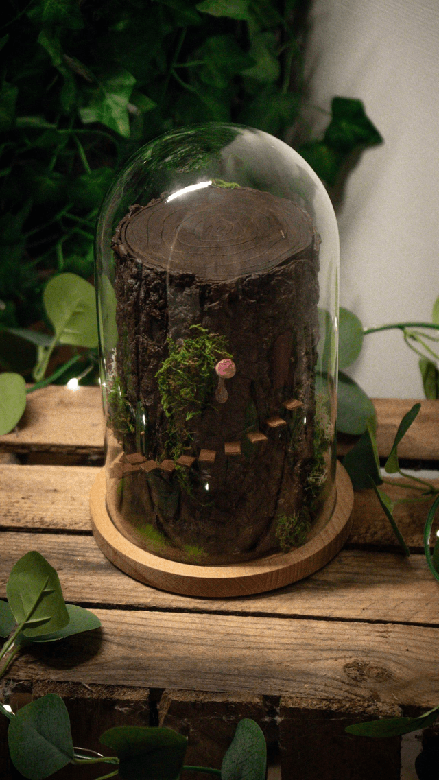 Diorama "Maison des fées des bois"