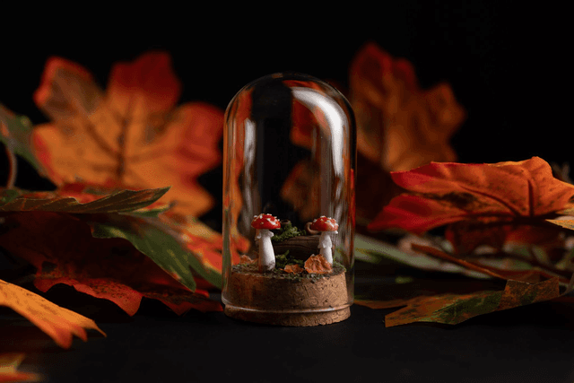 Collection Automne 2025 - sous bois [sur commande] 