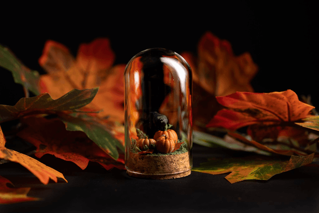 Collection Automne 2025 - Citrouilles et corbeau 